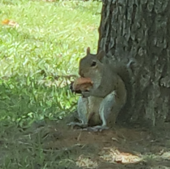 Accepting REASONABLE Offers! - Picture 6 of 7